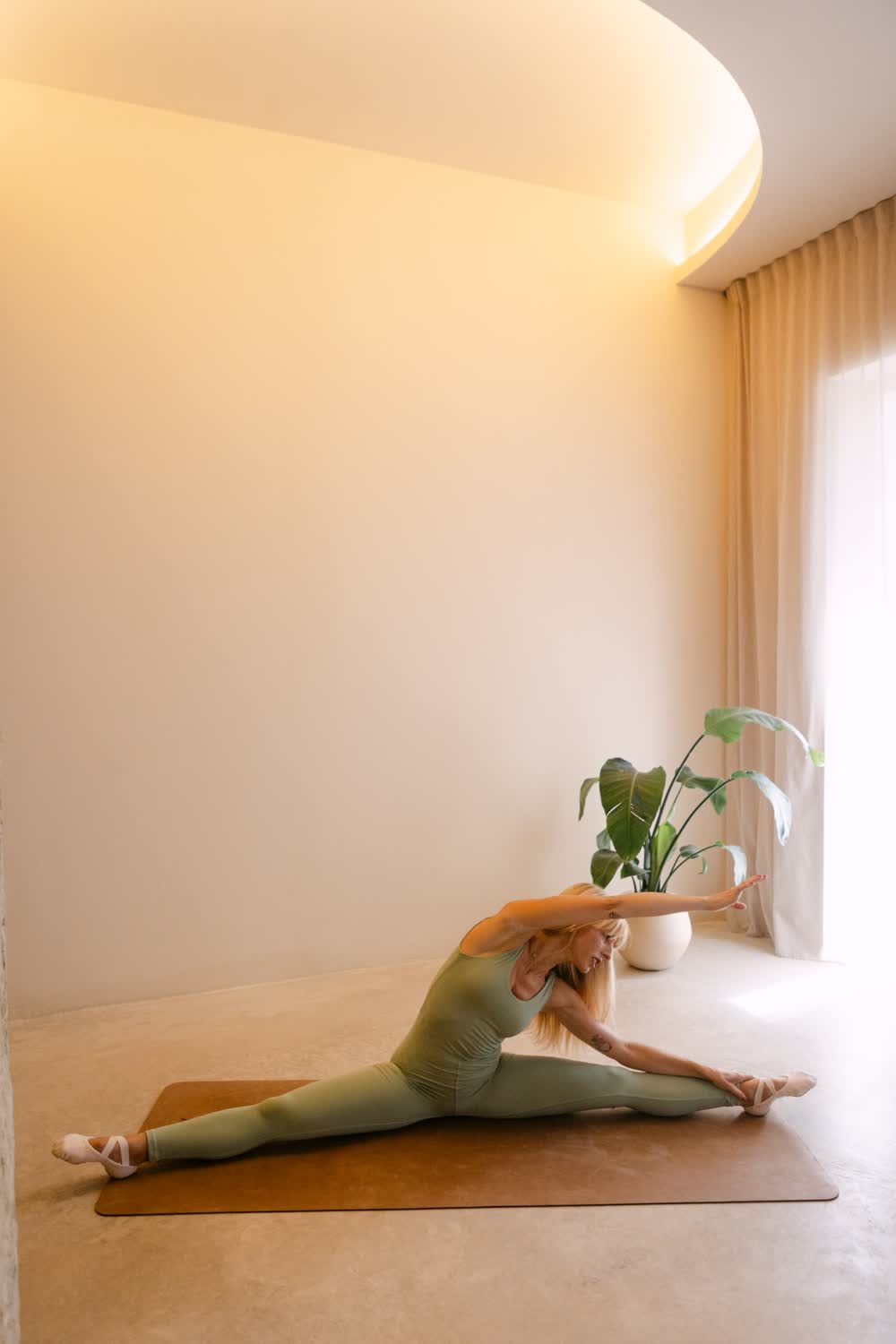 Flexibility & Ballet Barre