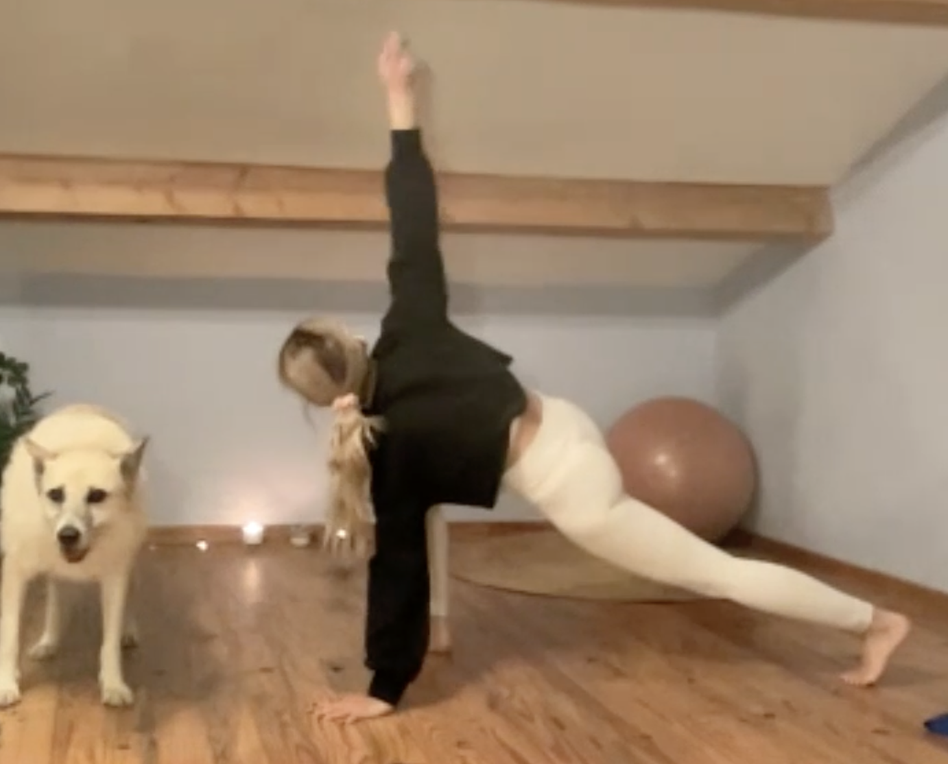 Surf Training  Movilidad, equilibrio y fureza 40´